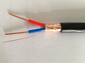 ZR-KVVP2-16×2.5 阻燃控制屏蔽電纜 國標品質，廠價直銷的專業之選